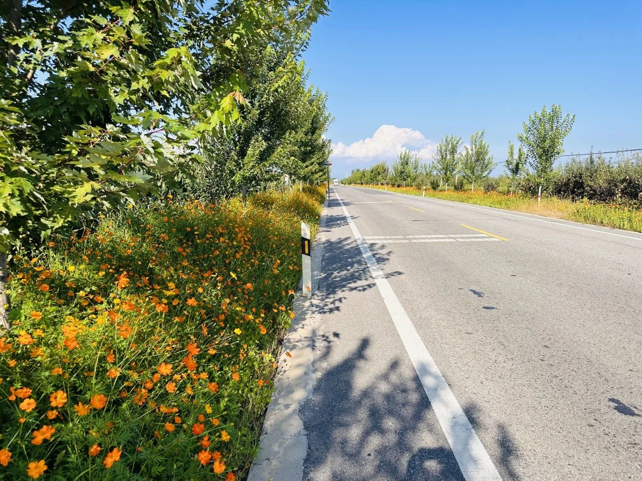 黄陵干线公路 风景如诗如画